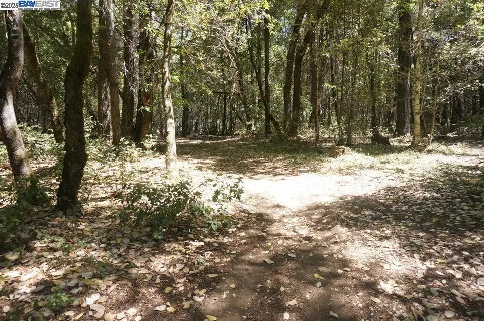 800 Suzy Q Rd, Trinity Village, CA 95527 - #1