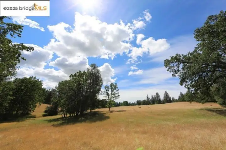 22000 Ferretti Rd., Groveland, CA 95321 - #1