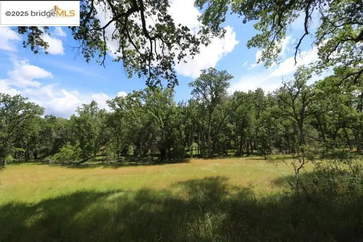 22000 Ferretti Rd., Groveland, CA 95321 - #2