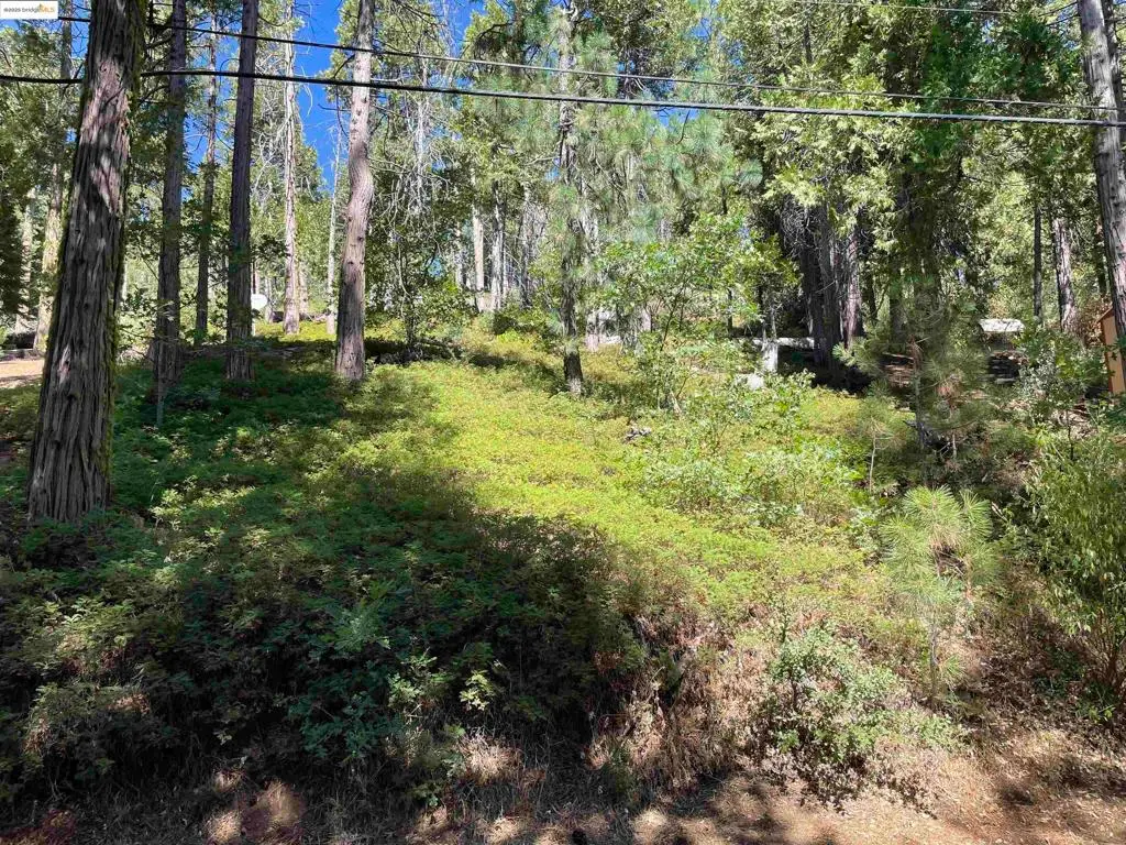 25476 Rebekah Rd, Long Barn, CA 95335 - #1