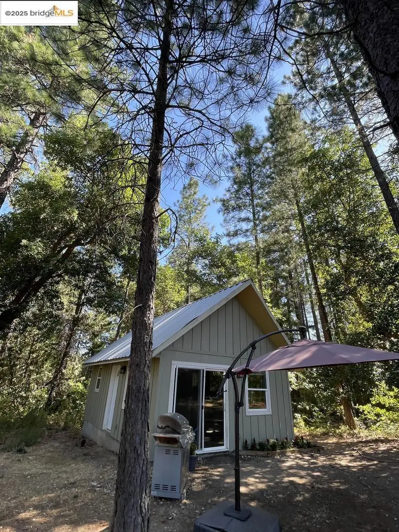 15003 Alleghany Rd, North San Juan, CA 95960 - #3