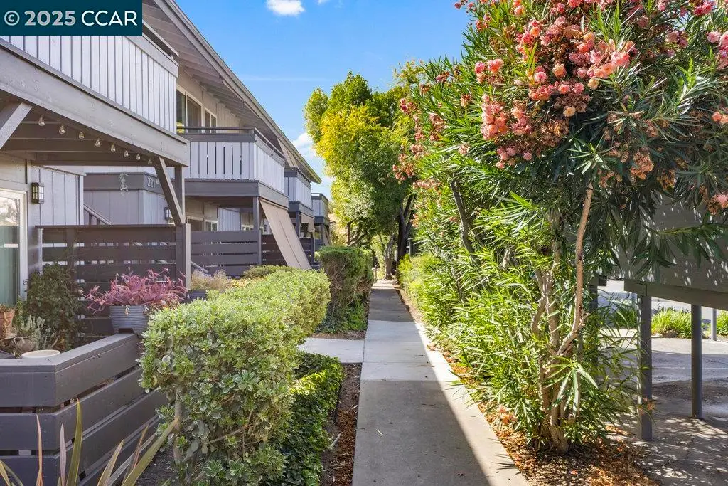 213 Masters Ct #3, Walnut Creek, CA 94598 - Image #1