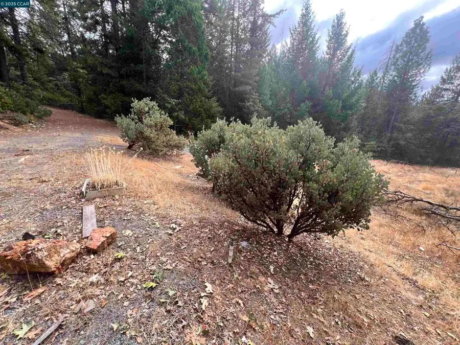 4040 Tin Ranch Rd, Georgetown, CA 95634 - #2