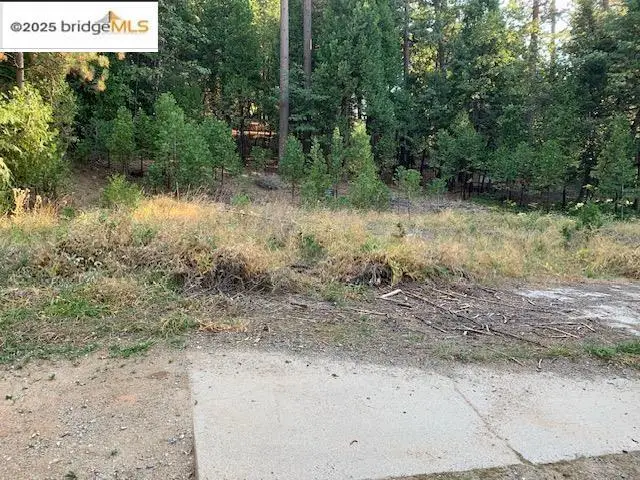 22975 Twain Harte Dr, Twain Harte, CA 95383 - #3
