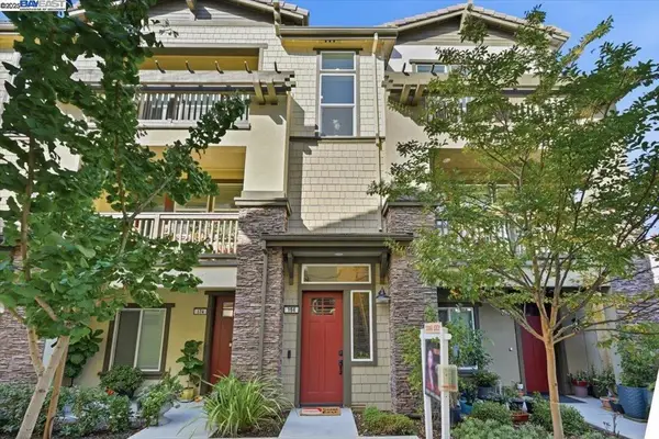 164 Beale Falls Ter, Fremont, CA 94539