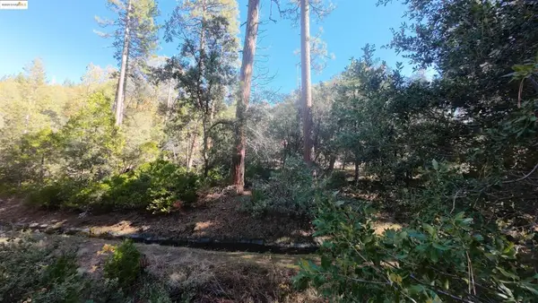22443 Broken Bough Ln, Twain Harte, CA 95383
