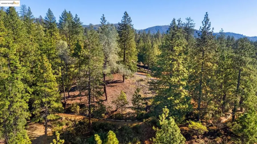 11210 Forest Park Rd, Columbia, CA 95310 - #2