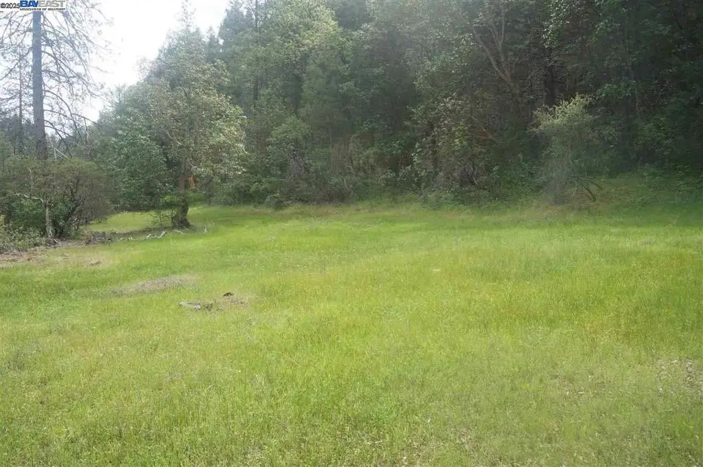 6269 Dutch Creek, Junction City, CA 96048 - #1