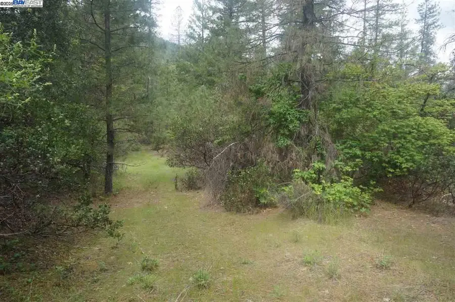 6269 Dutch Creek, Junction City, CA 96048 - #2