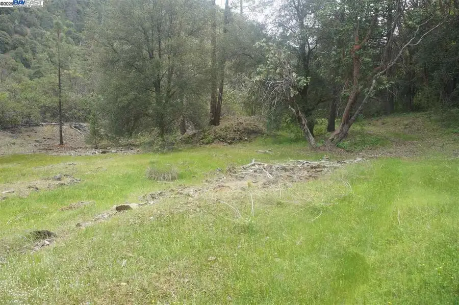 6269 Dutch Creek, Junction City, CA 96048 - #3