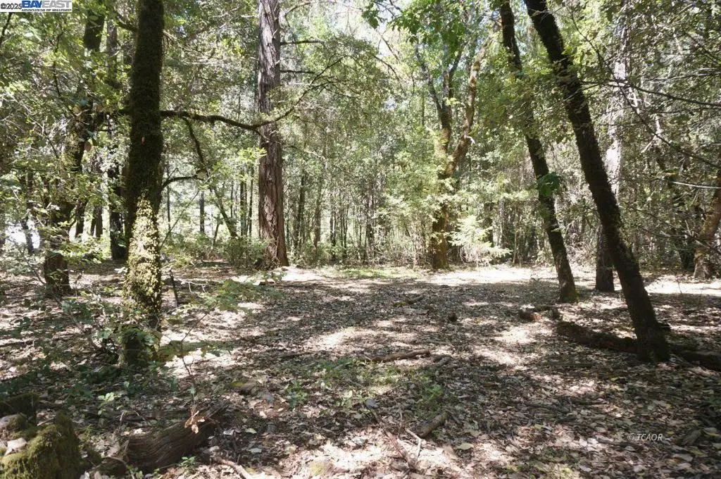 4271 State Hwy 299 Rd, Trinity Village, CA 95527 - #1