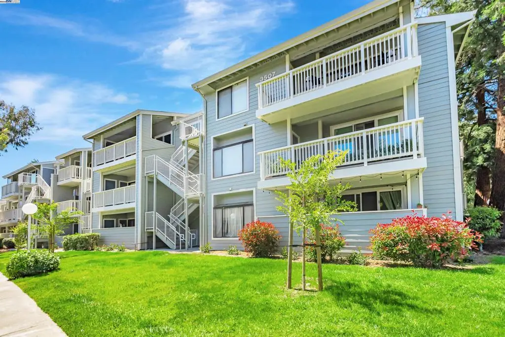 3507 Buttonwood Ter #203, Fremont, CA 94536 - Image #1