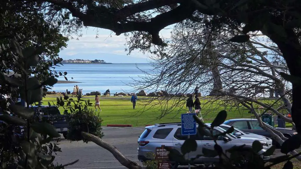 1321 Webster St #D119, Alameda, CA 94501 - #1