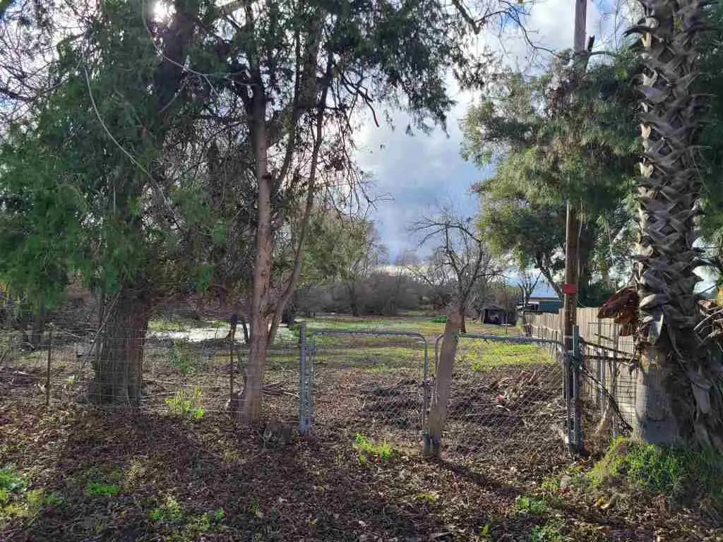 4891 N Stone Road, Bethel Island, CA 94511 - #1