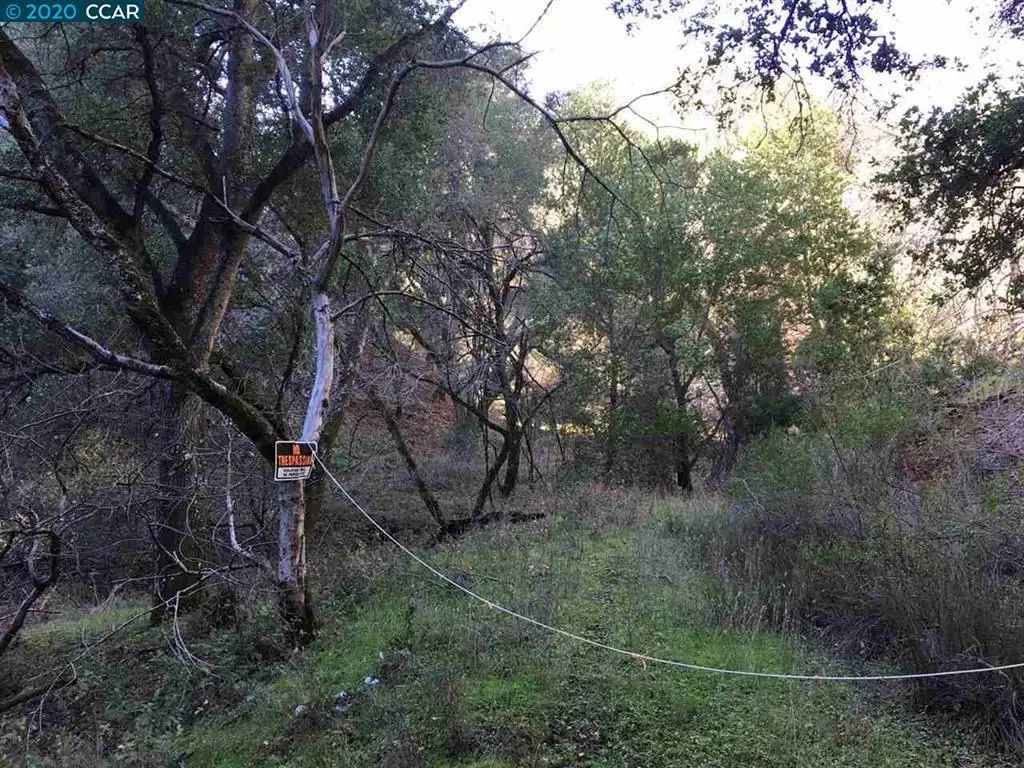 Lark Ln, Alamo, CA 94507 - #1