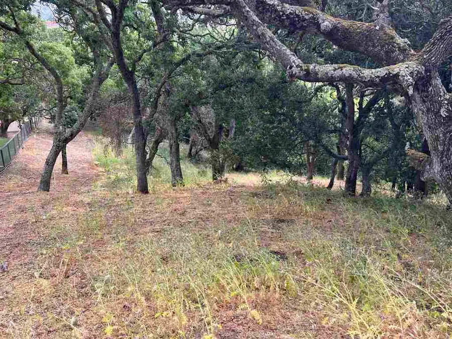 Turquoise Dr, Hercules, CA 94547 - #2