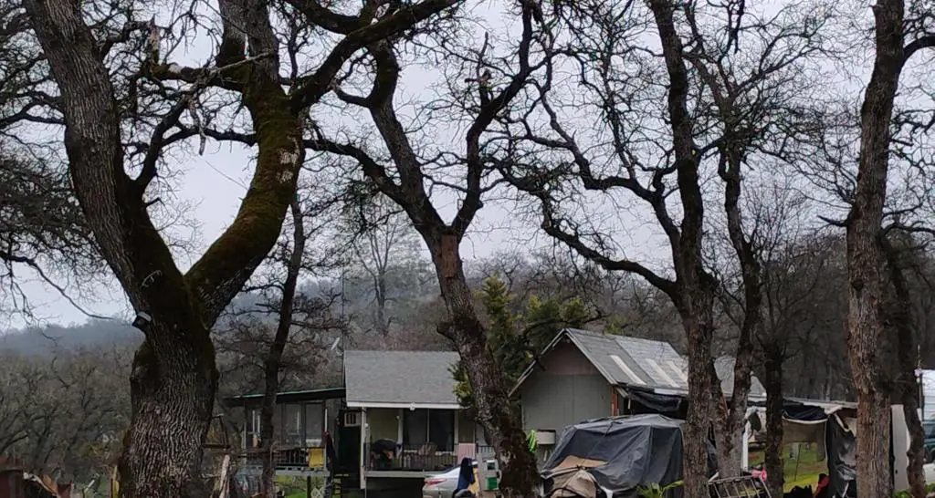 68 68 Reginald Way, Oroville, CA 95966 - #1