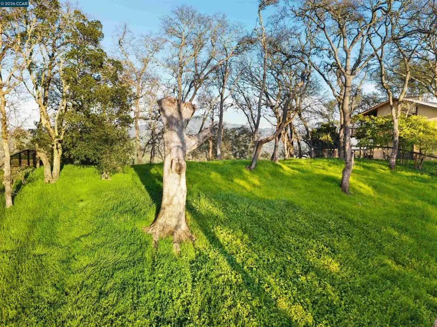 0 Castle Crest Rd, Alamo, CA 94507 - #2