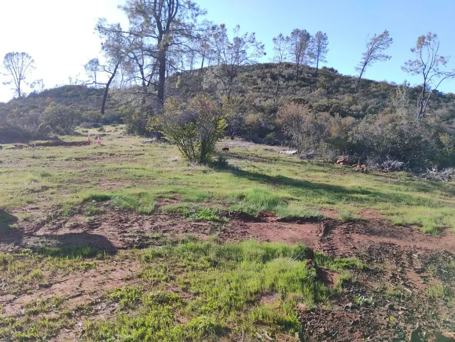 4083 Green Valley Rd, Pollock Pines, CA 95726 - Image #3