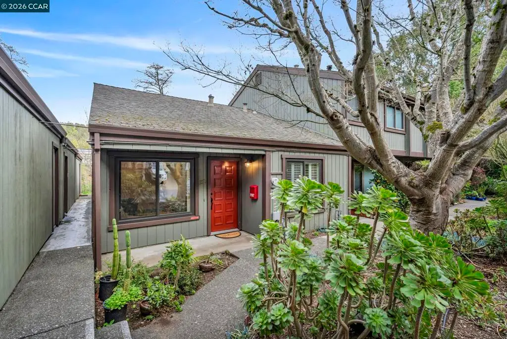 338 Olema Rd, Fairfax, CA 94930 - #1