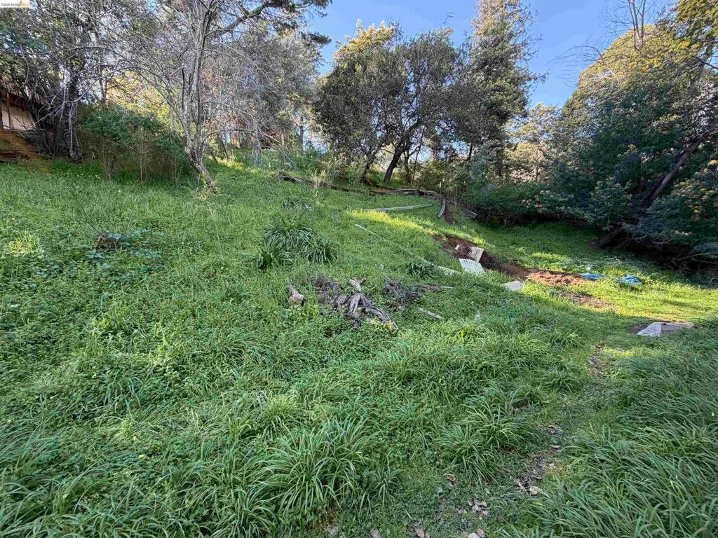 59 Clayton St., San Rafael, CA 94901 - #1