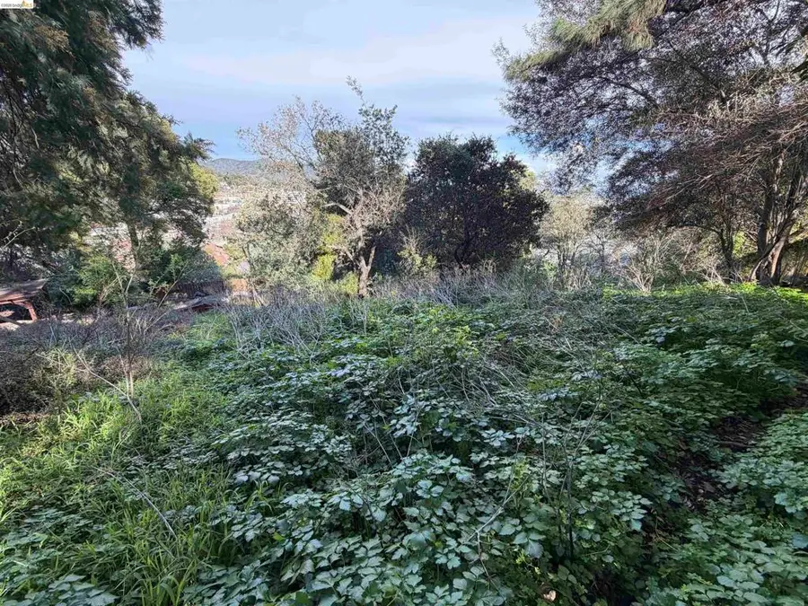 59 Clayton St., San Rafael, CA 94901 - #3