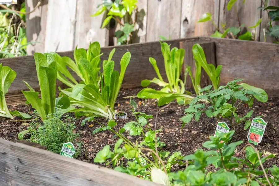 3316 3316 Harrison St, Oakland, CA 94611 - #3