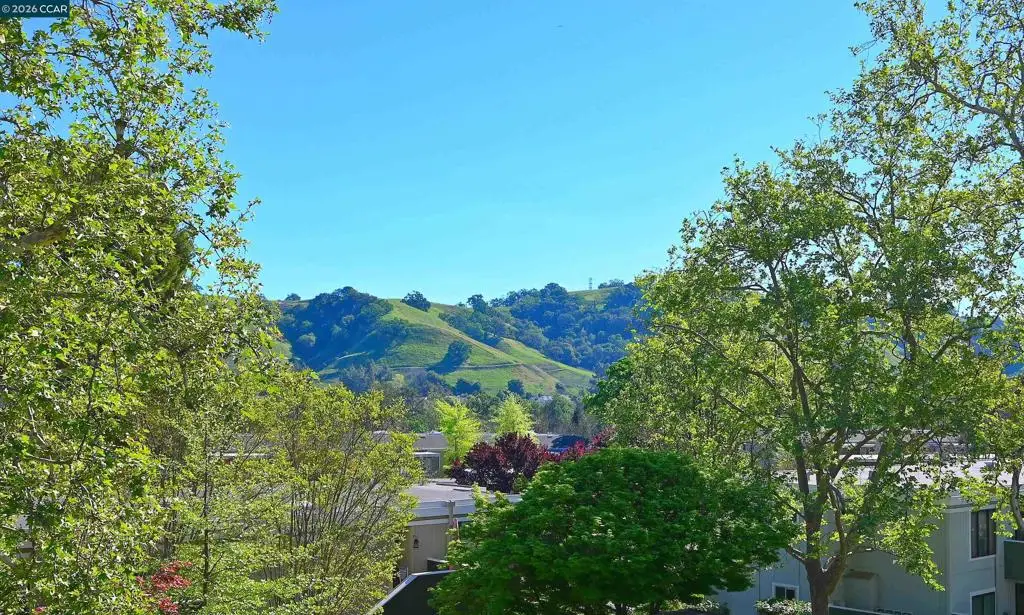 1160 Singingwood Ct #5 #5, Walnut Creek, CA 94595 - #1