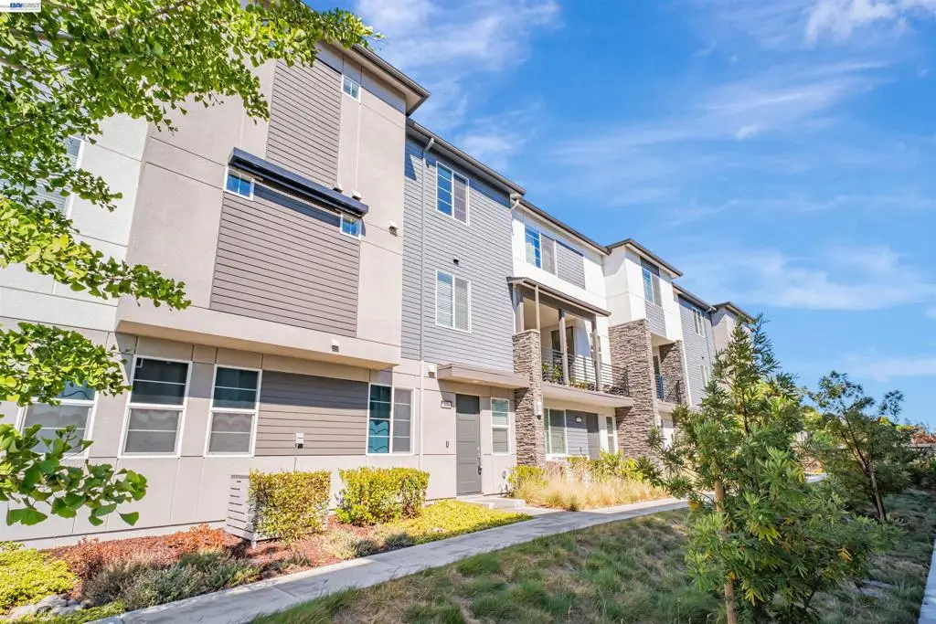 675 Delve Ct, Hayward, CA 94544 - #1