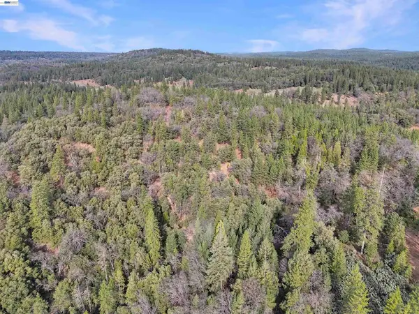 4700 Kelley Pl, Garden Valley, CA 95633