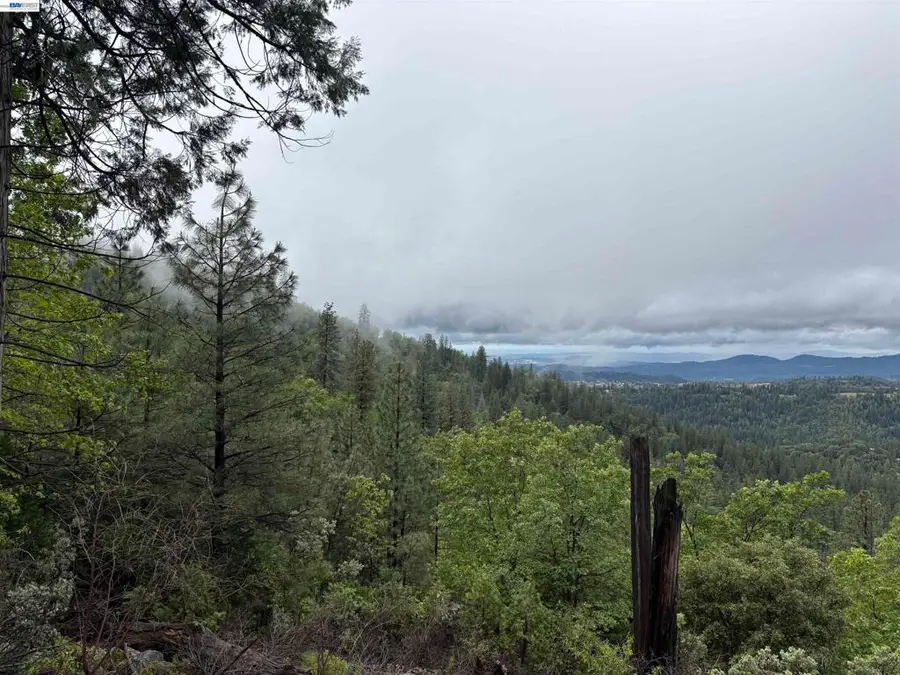 20800 Mount Provo Road, Twain Harte, CA 95383 - #2