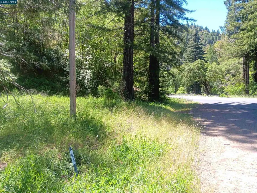 56025 N Highway 101, Laytonville, CA 95454 - #3