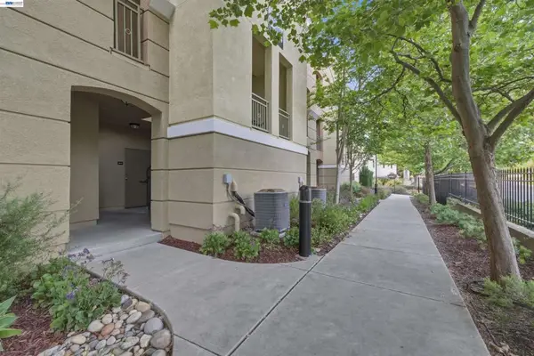 4704 Norris Canyon Rd #203, San Ramon, CA 94583
