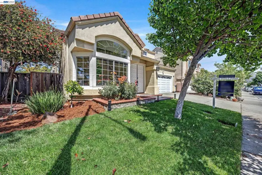 239 Balboa Dr, Milpitas, CA 95035 - #3