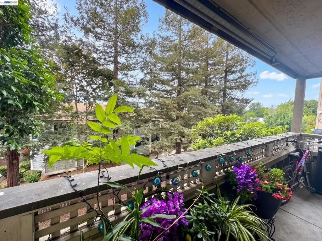 29599 Vanderbilt St #204, Hayward, CA 94544 - #1