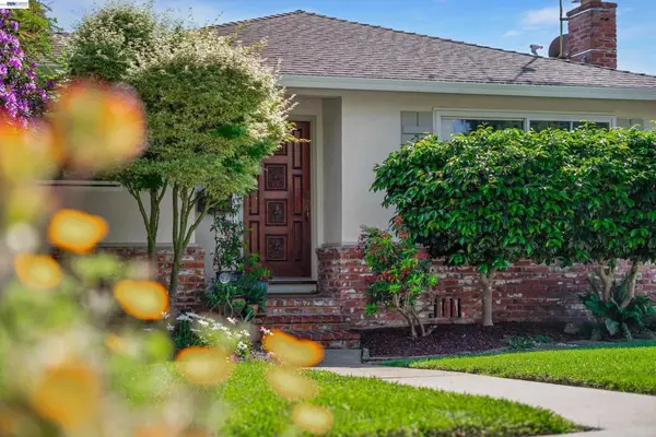18419 Clifton Way, Castro Valley, CA 94546