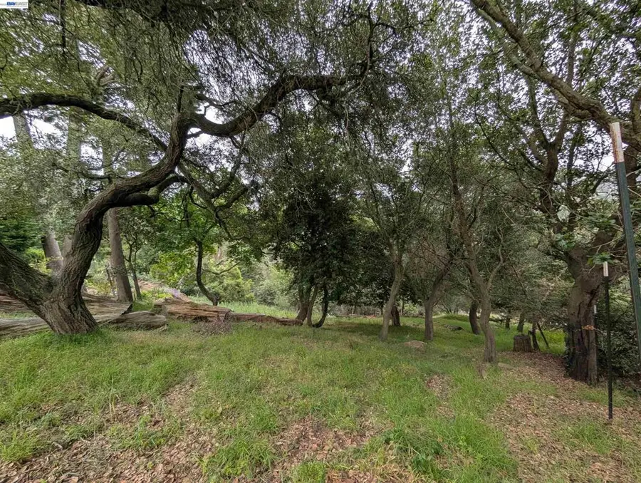 0 Chelsea Ct, Oakland, CA 94603 - #2