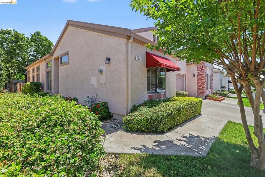 300 Winesap Dr, Brentwood, CA 94513 - #2