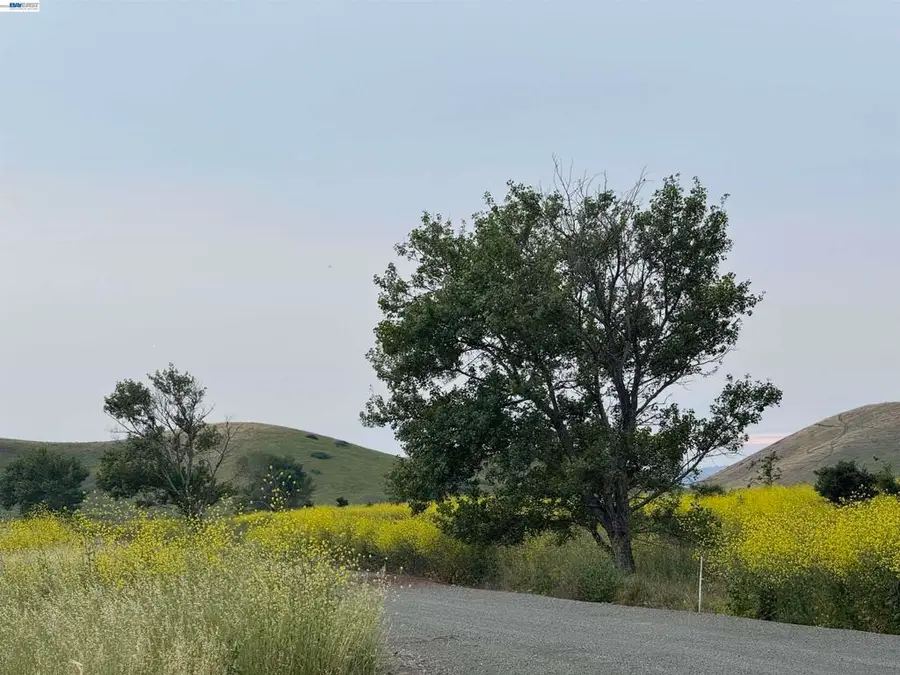 33513 Bardolph Cir, Fremont, CA 94555 - #3
