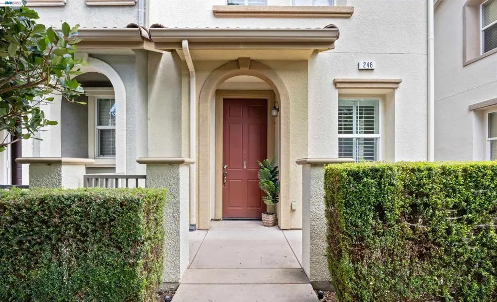 246 Sullivan Way, Hayward, CA 94541 - #1