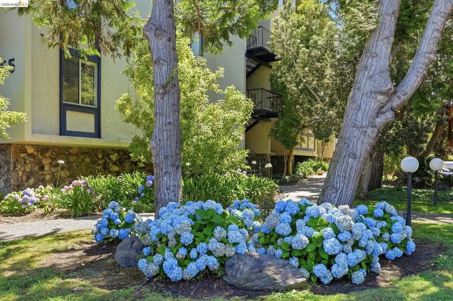955 Shorepoint Ct #208, Alameda, CA 94501 - #3