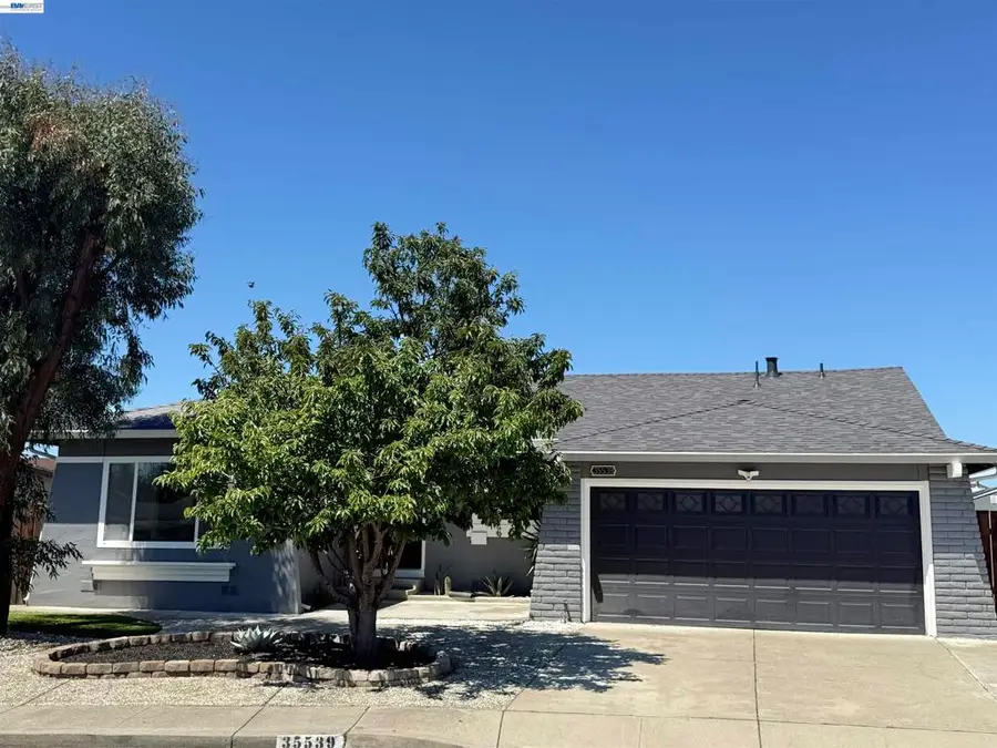 35539 Dee Pl, Fremont, CA 94536 - #2