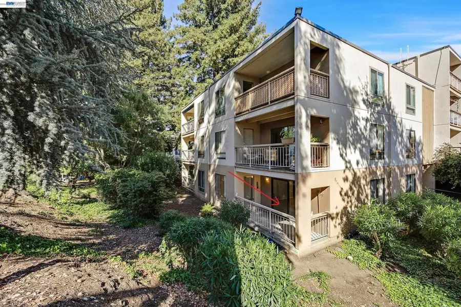 310 N Civic Dr #101, Walnut Creek, CA 94596 - #3