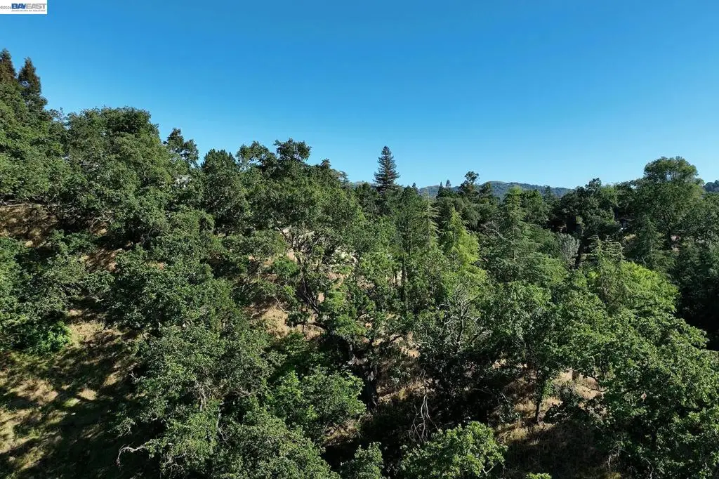 247 Sequoia Ave, Walnut Creek, CA 94595 - #1