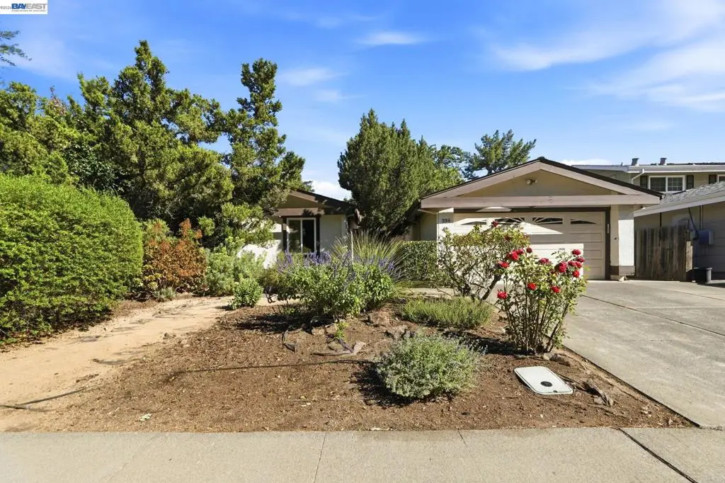 336 Encina Ave, Davis, CA 95616 - #1