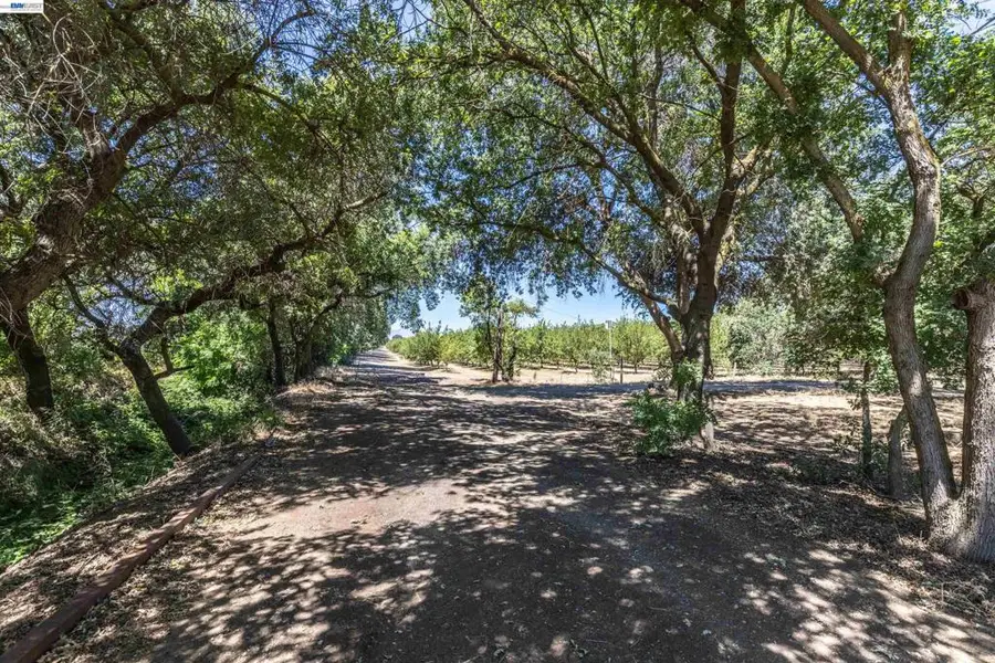 3515 Kellogg Creek Rd, Byron, CA 94514 - #2