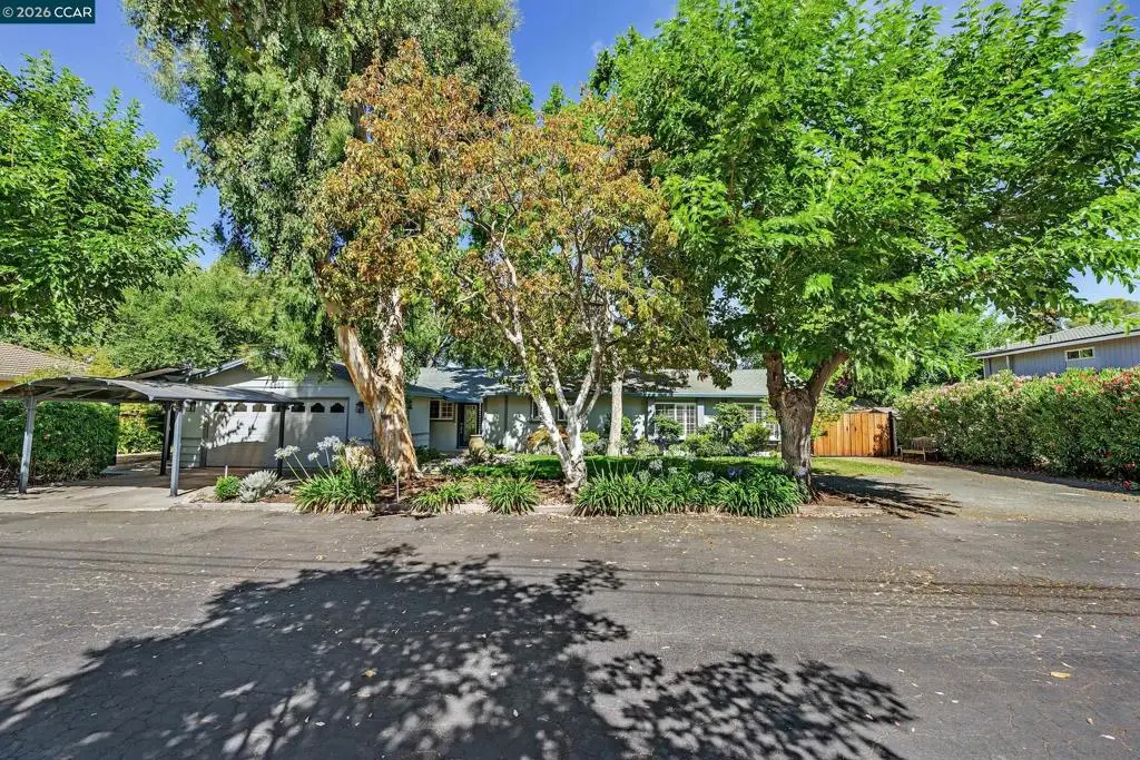 5230 Concord Blvd, Concord, CA 94521 - #1