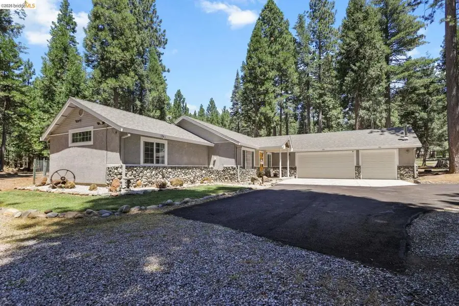 31444 Emigrant Trl, Shingletown, CA 96088 - #3