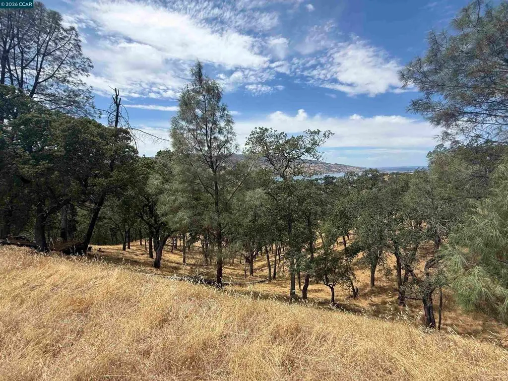 1123 Steele Canyon Rd., Napa, CA 94558 - #1