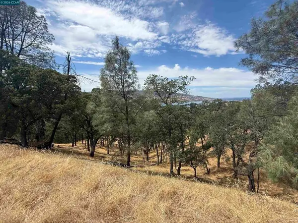 1123 Steele Canyon Rd., Napa, CA 94558